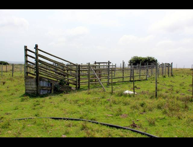 106HA FARM FOR SALE IN EAST LONDON CENTRAL